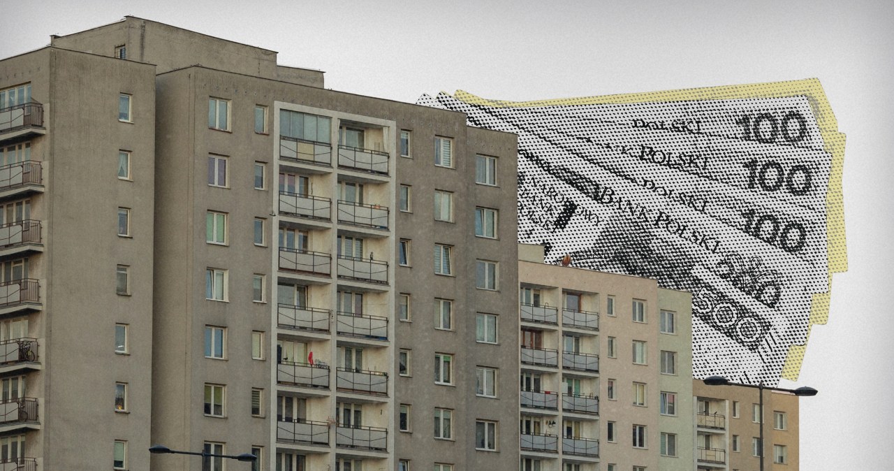 Dlaczego młodzi odrzucają kredyt jako dowód dorosłości [13 PIĘTER]