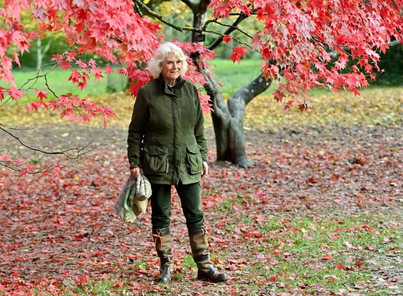 Królowa Camilla zaskoczyła stylizacją. Porzuciła suknię i garsonkę