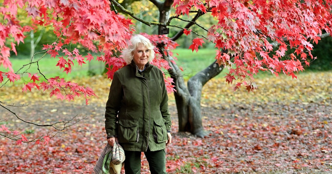 Królowa Camilla zaskoczyła stylizacją. Porzuciła suknię i garsonkę