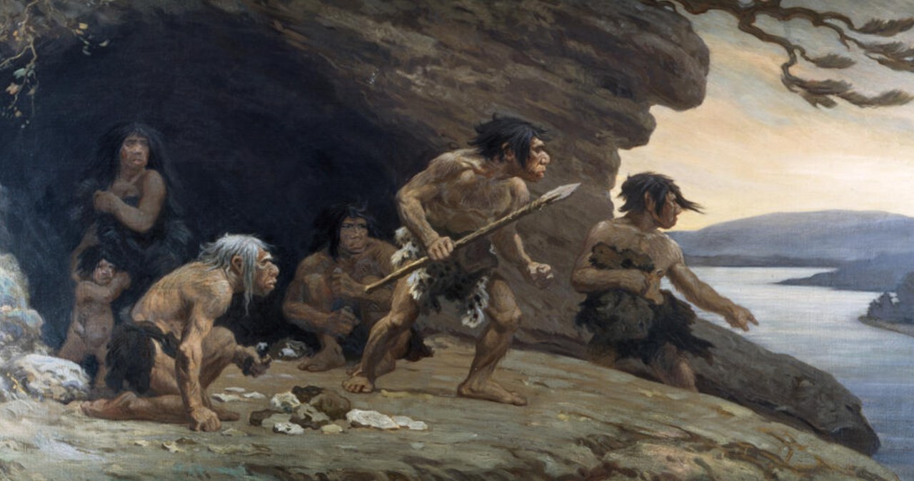 Nowe fakty o Neandertalczykach. Tego trudno było się spodziewać