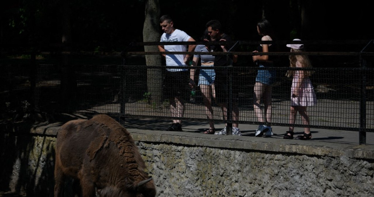 Stołeczne zoo zamknięte. Parki w Łazienkach i Wilanowie też. Bardzo wieje Stołeczne zoo zamknięte. Parki w Łazienkach i Wilanowie też. Bardzo wieje