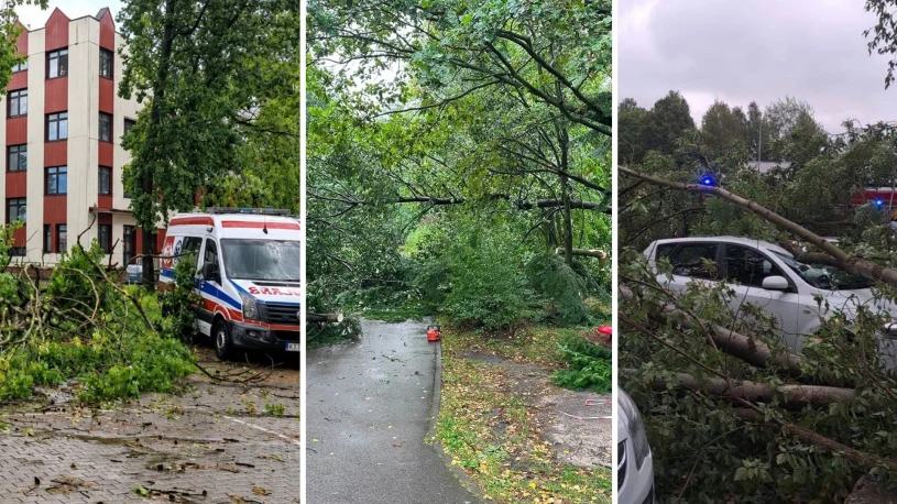 Wichury nad Polską. Drzewa spadały na samochody, zamknięto parki
