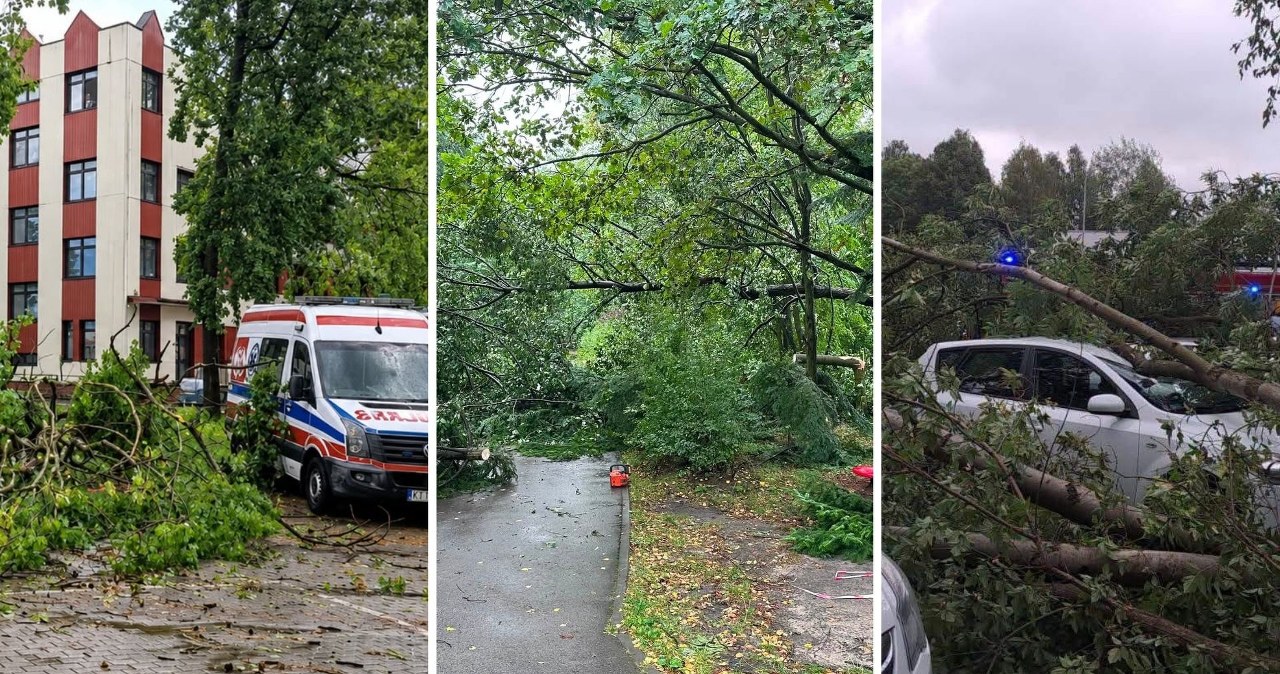 Wichury nad Polską. Drzewa spadały na samochody, zamknięto parki