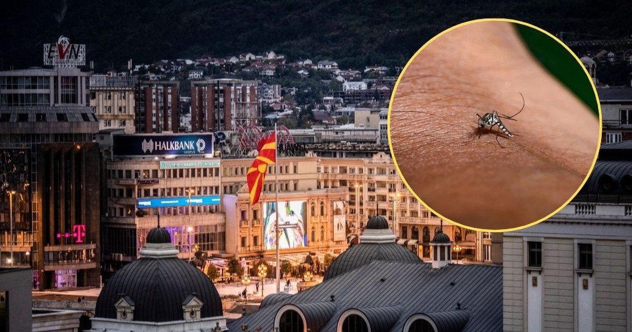 Macedonia Północna. Pięć osób nie żyje, zakażone wirusem Zachodniego Nilu Macedonia Północna. Pięć osób nie żyje, zakażone wirusem Zachodniego Nilu