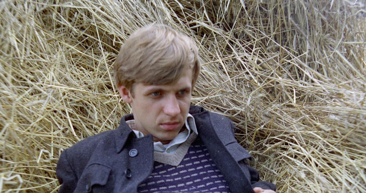 Kultowy polski serial wróci po wielu latach? Znamy wszystkie szczegóły