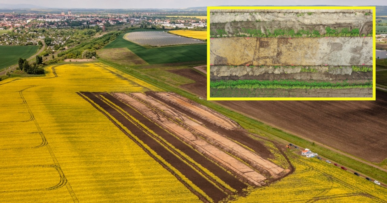 To wyrosło spod ziemi. Potężna osada ze średniowiecza odkryta w Niemczech