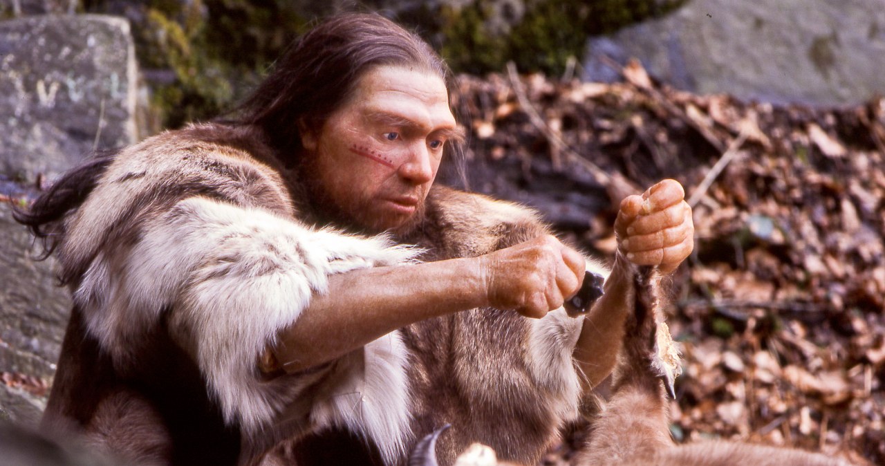 Szkielety neandertalczyków podważają znane przekonanie o ewolucji