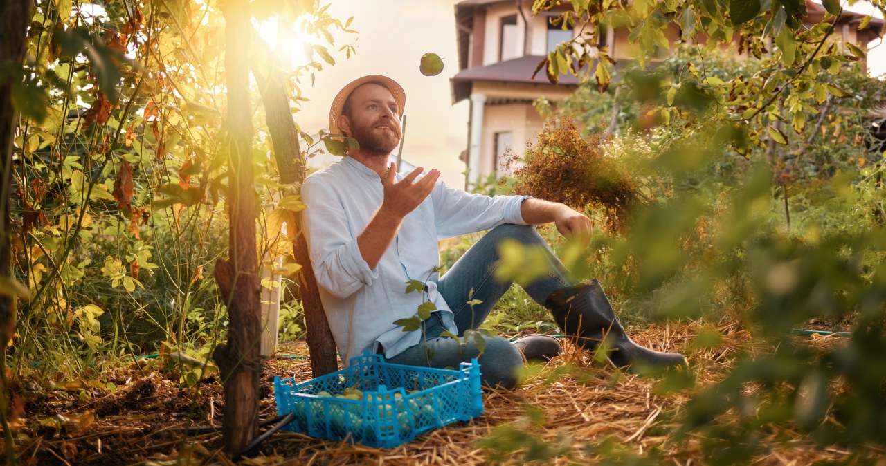 Zwolnij i żyj jak hobbit. Styl życia z Shire ma pomóc na stres i wypalenie