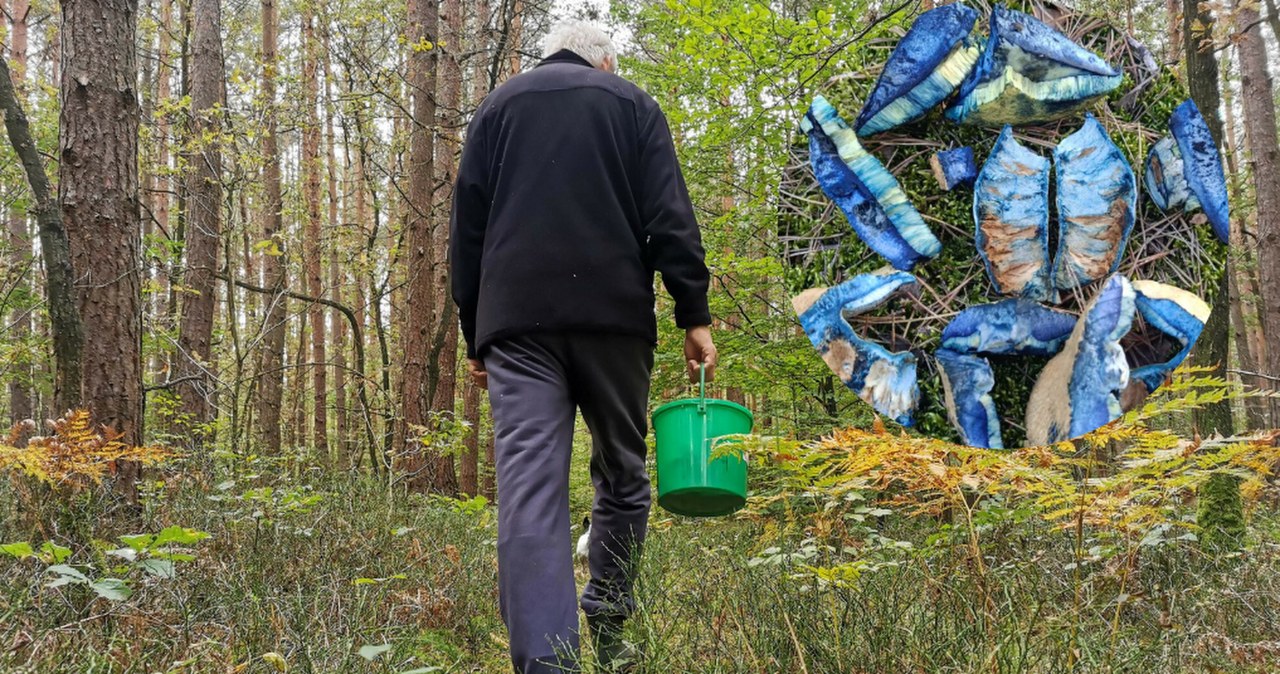 Wygląda jak z "Avatara", a Polacy go zajadają. Znacie tego grzyba?