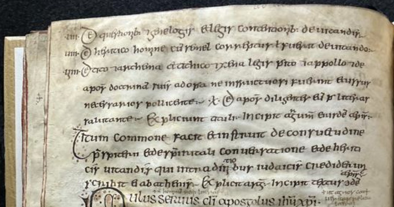 Naukowcy odzyskali DNA wirusa ospy owiec ze średniowiecznego pergaminu
