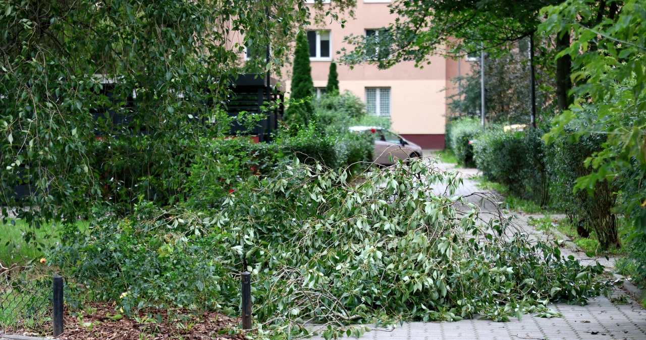 Zdjęcie do aktualności: Załamanie pogody dotarło do Polski. Weekend pod znakiem alertów