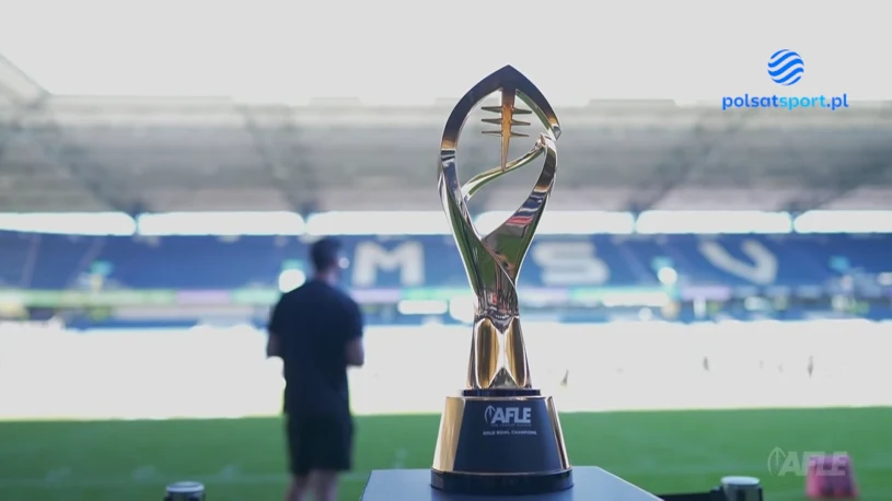 Panthers Wrocław – Vikings Vienna. Polski klub rozbity w finale [WIDEO]