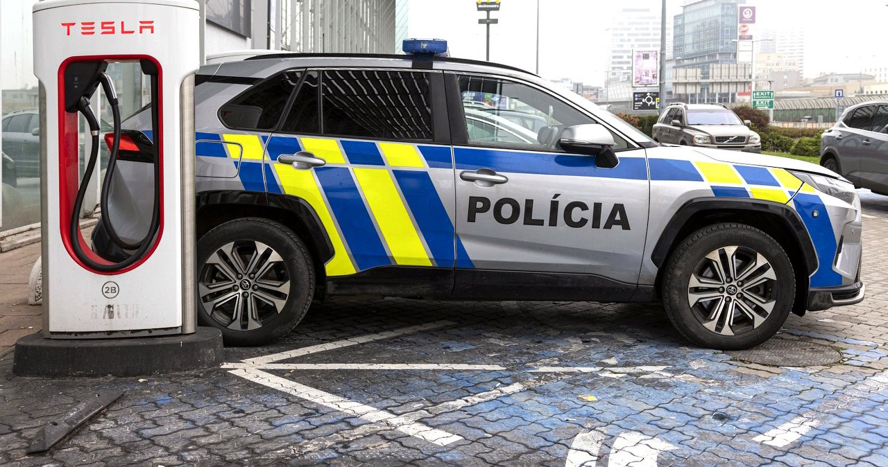 650 stacji zaatakowanych przez złodziei. Ładowarek pilnuje policja