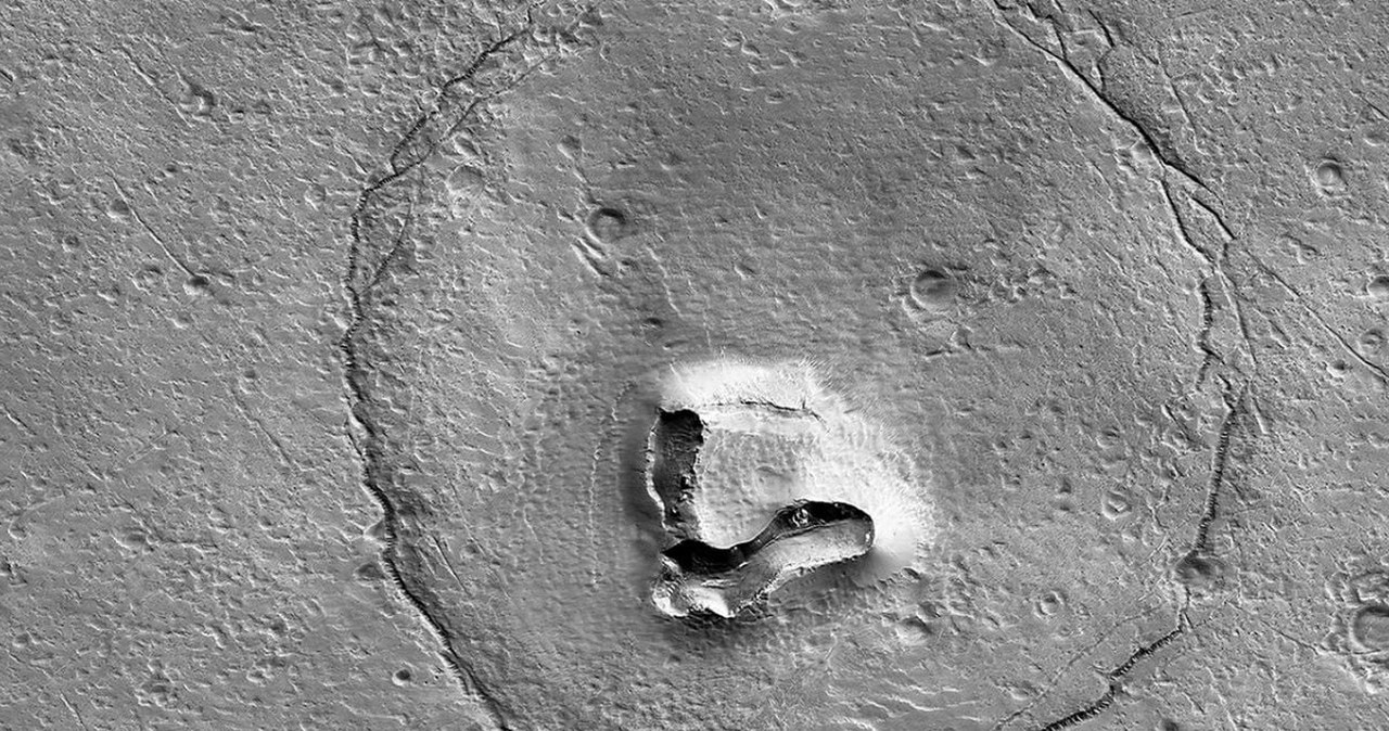 Orbiter NASA uchwycił na Marsie "niedźwiedzia". Co to jest ?