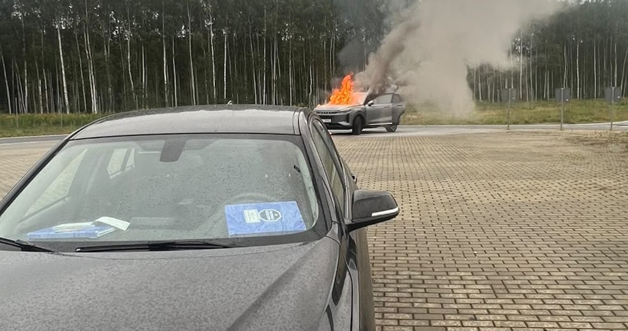 Policjanci zatrzymali do kontroli Omodę, za chwilę musieli ratować pasażerów