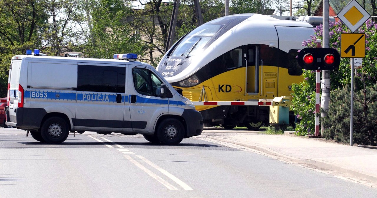 13 tys. kierowców straci prawo jazdy. Rząd pokazał nowe przepisy