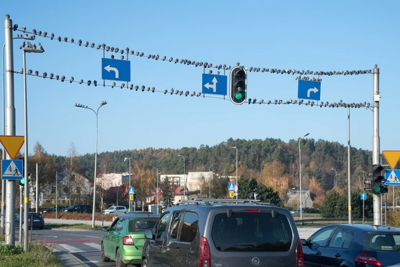Zawracanie na skrzyżowaniu. Kiedy to można zrobić legalnie?