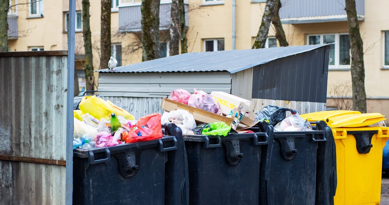 W Polsce ruszyły kontrole. Urzędnicy zajrzą do kontenerów ze śmieciami