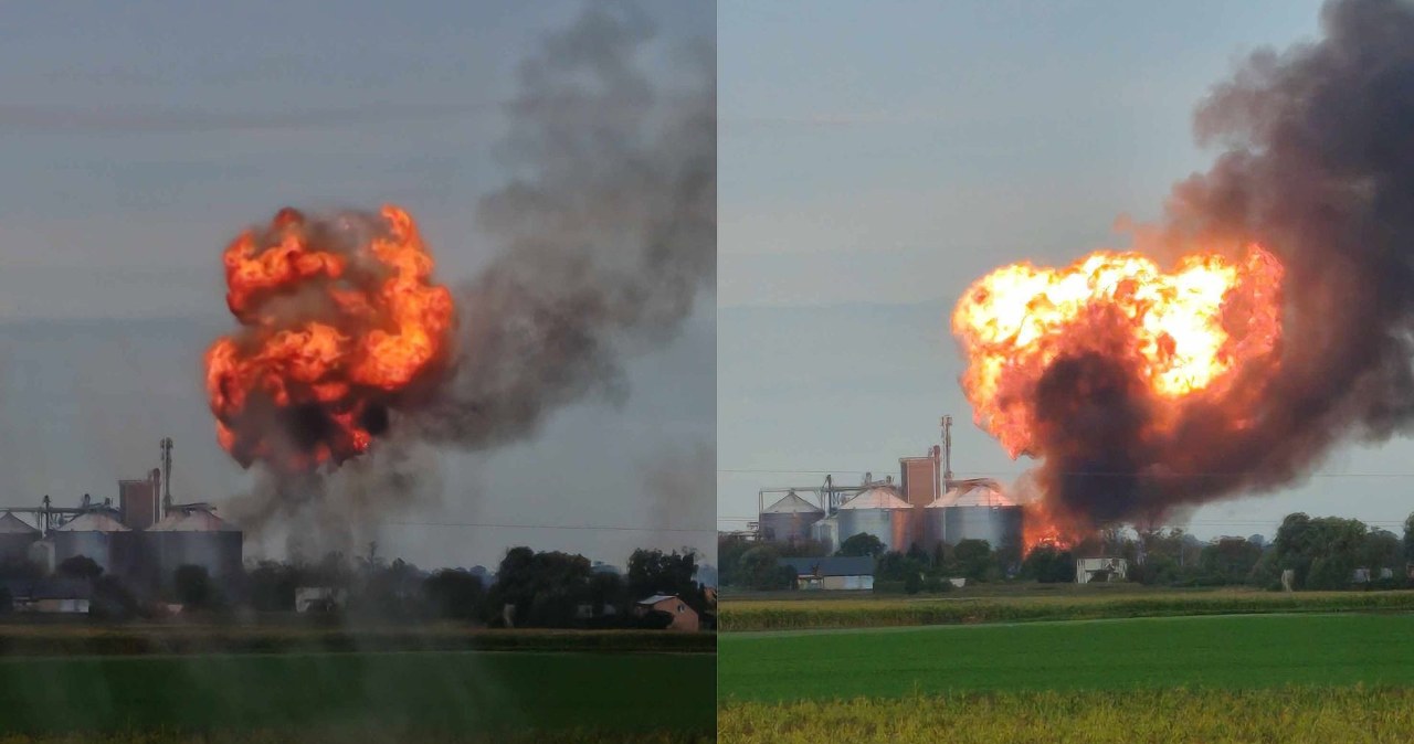 Pożar w Osięcinach. Płonie suszarnia, słychać wybuchy. Dwie osoby poszkodowane Pożar w Osięcinach. Płonie suszarnia, słychać wybuchy. Dwie osoby poszkodowane