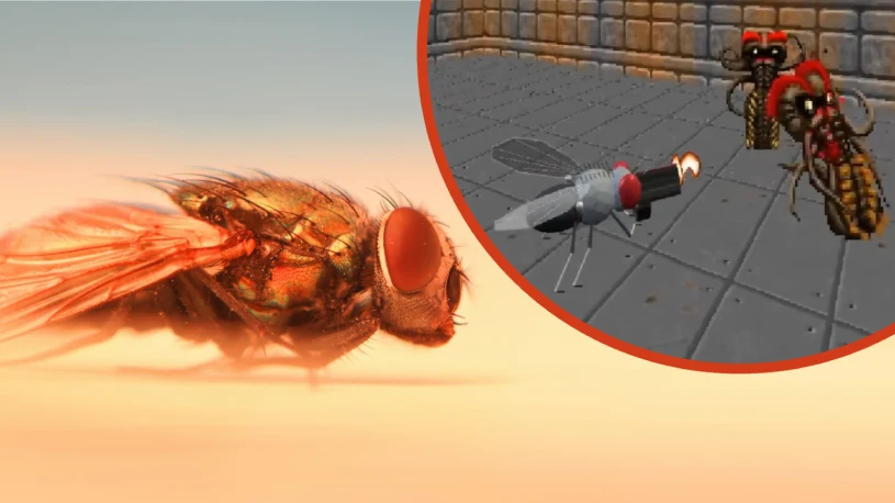 Mózg owada zamknięty w symulacji. Cyfrowy klon ma świadomość?