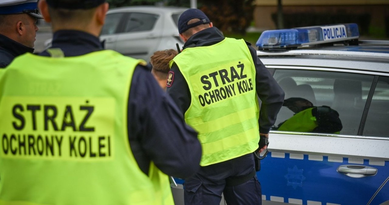 Kontrole przejazdów kolejowych w Rzeszowie. „Dziwią się, że nie wolno” Kontrole przejazdów kolejowych w Rzeszowie. „Dziwią się, że nie wolno”