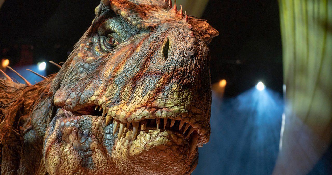 Zmierzyli prędkość wielkiego tyranozaura. Cały czas żyliśmy w błędzie Zmierzyli prędkość wielkiego tyranozaura. Cały czas żyliśmy w błędzie