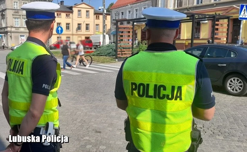 Piesi przeszli. Kierowca może już ruszać? Błąd kosztuje 1500 zł