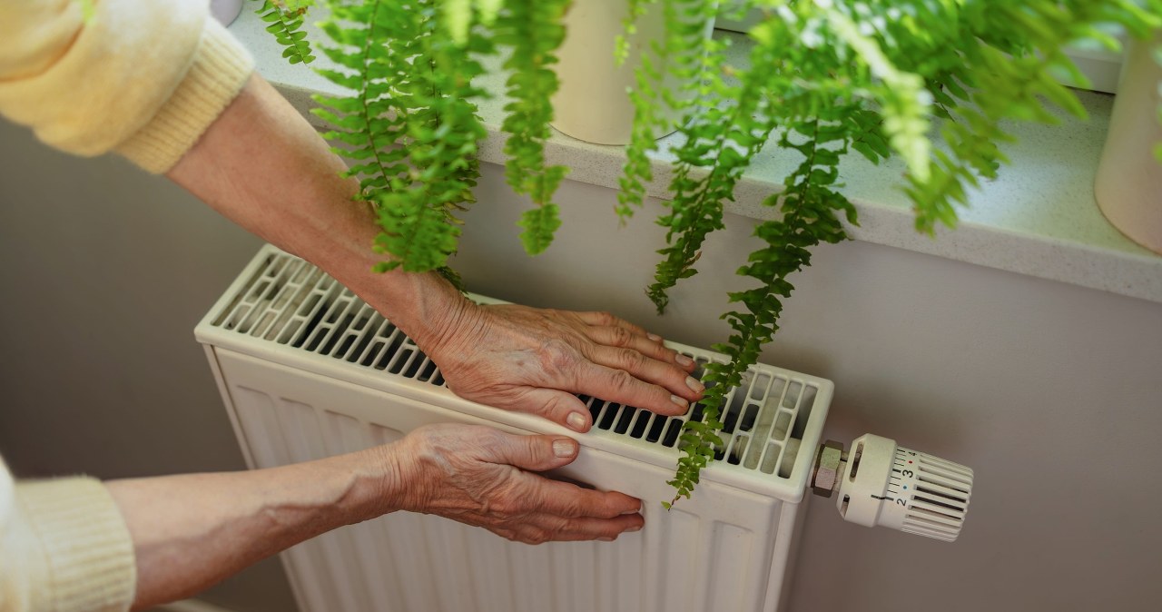 Jesienią kładę 2 listki na grzejniku. Rozwiązują uciążliwy problem
