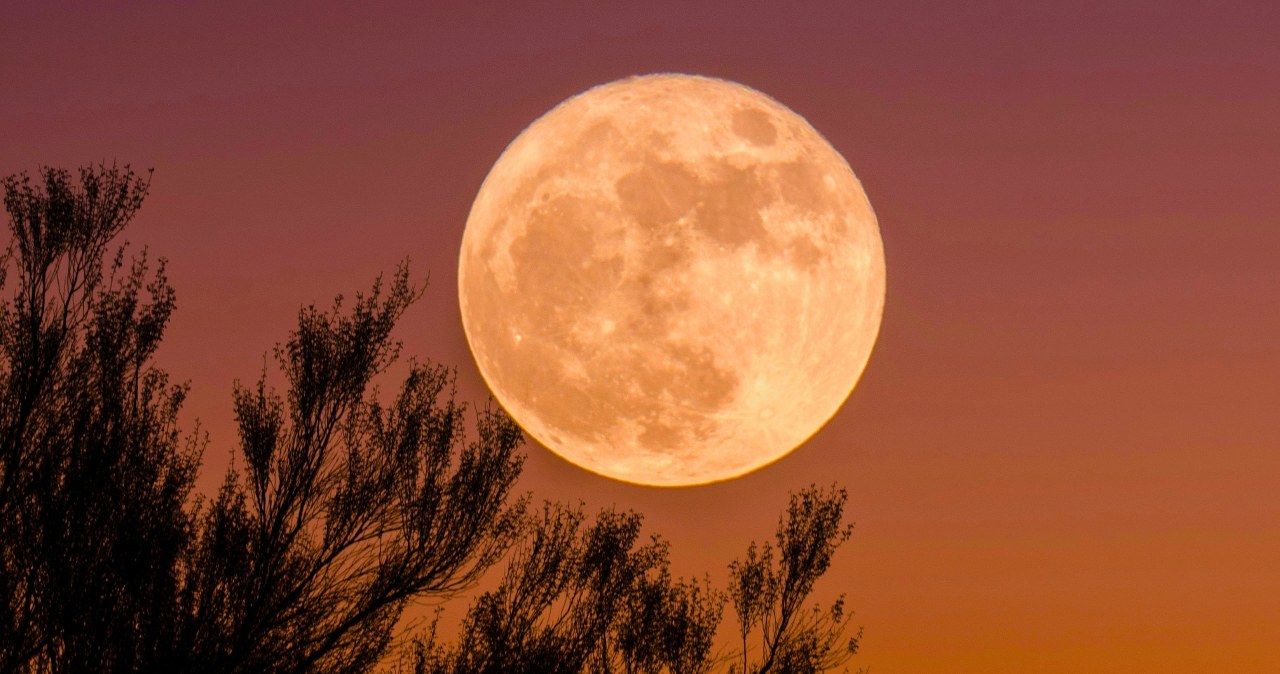 Pełnia Księżyca we wrześniu. Te 3 znaki zodiaku zmienią się najbardziej