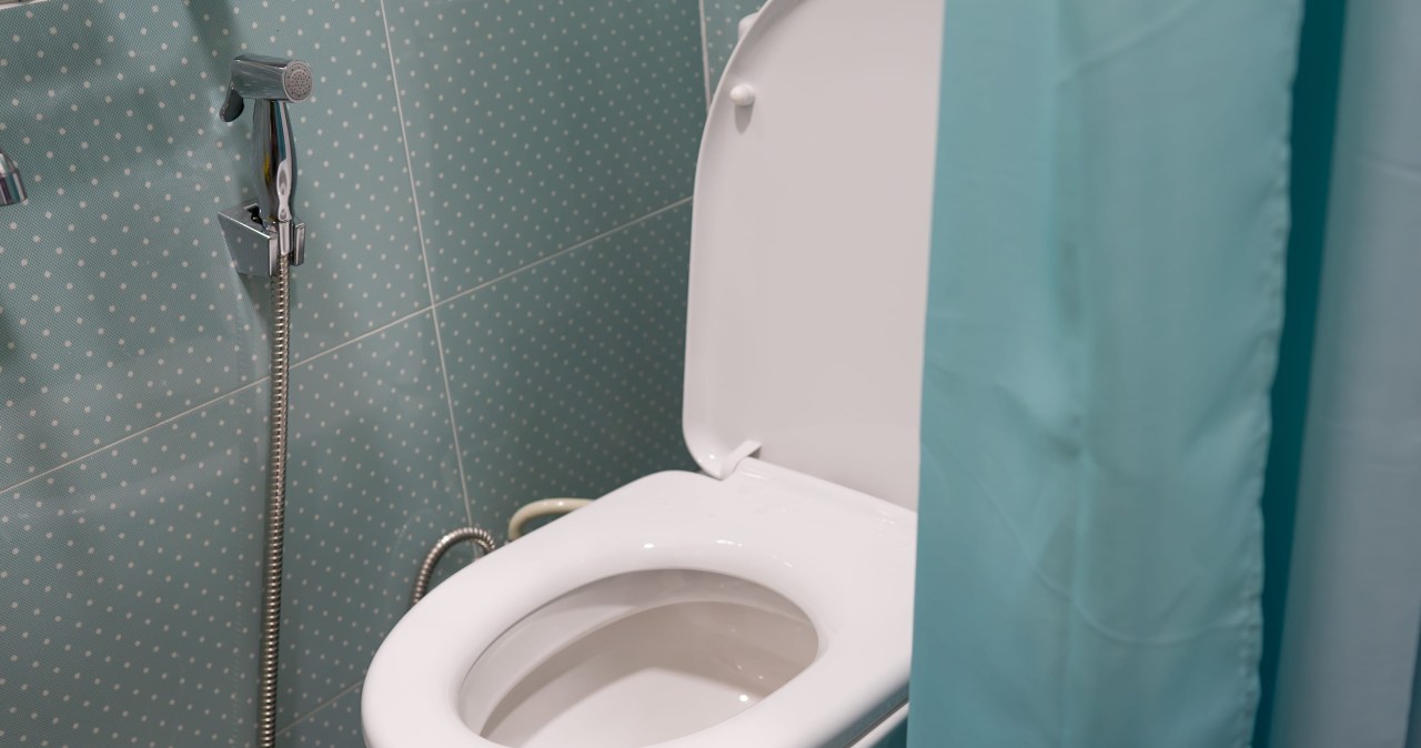 Białe toalety wychodzą z mody. Teraz hitem jest ten kolor