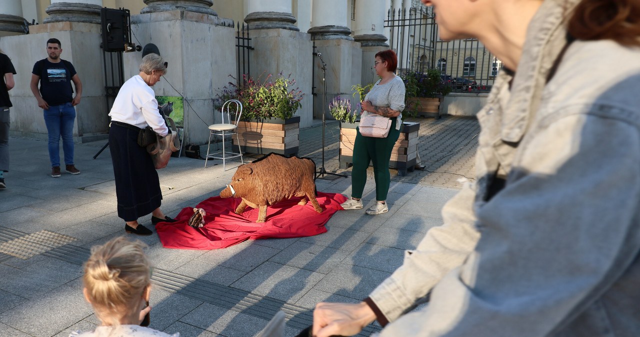 Protest w sprawie dzików w Warszawie zakłócony. Interweniowała policja