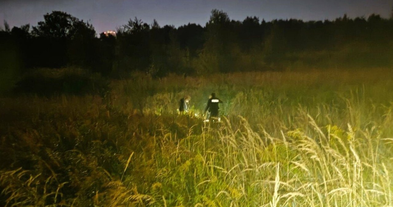 Pszczyna. Nastolatek zgubił się w lesie. Zadzwonił do ojca, połączenie przerwano