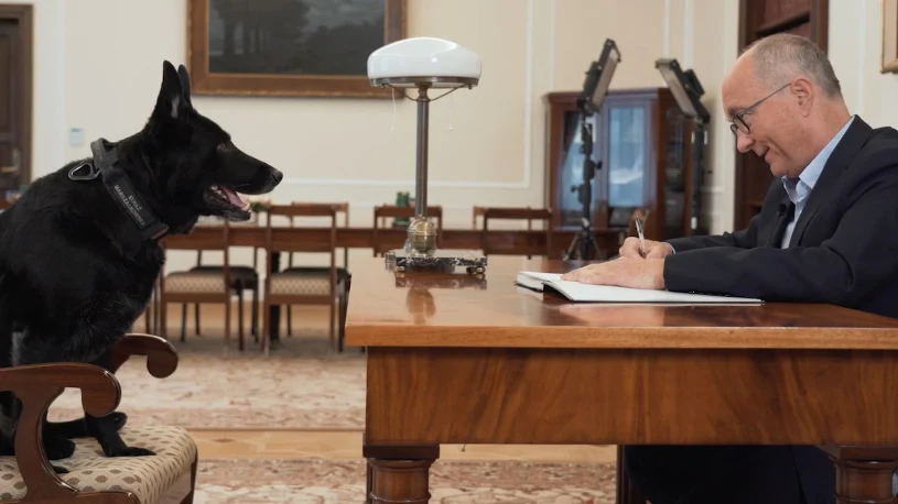 "Nigdy nie szczekałaś w Sejmie". Czarzasty podpisał nietypowe "podanie"