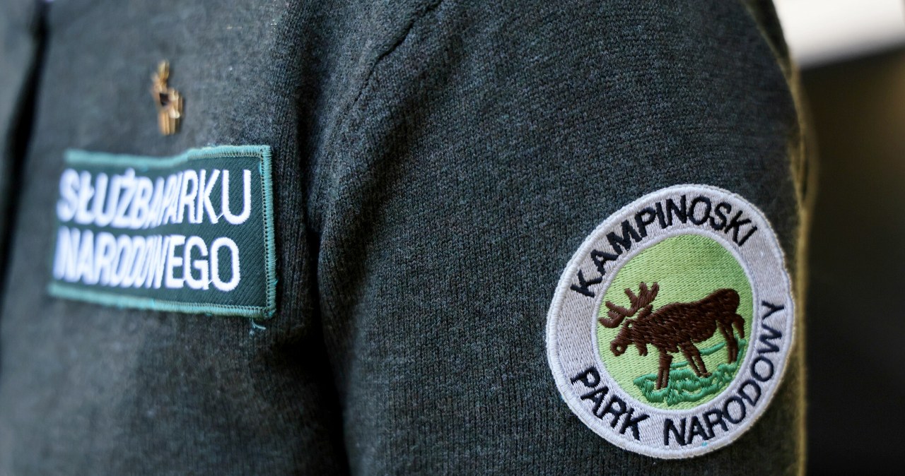 Strażnik parku narodowego strzelał do samochodu. Władze zabrały głos Strażnik parku narodowego strzelał do samochodu. Władze zabrały głos