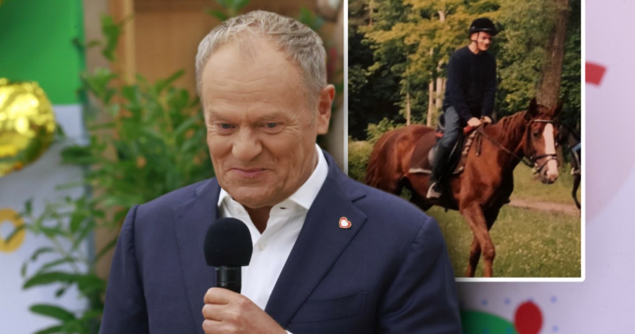 Konie dla rodziny prezydenta. Tusk, Sikorski i Szłapka opublikowali zdjęcia Konie dla rodziny prezydenta. Tusk, Sikorski i Szłapka opublikowali zdjęcia
