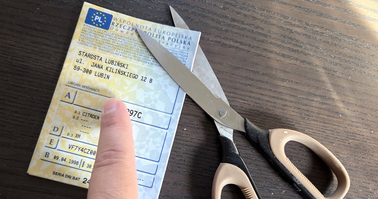 Co dalej z cyfrową rejestracją aut? Kierowcy potną dowody nożyczkami