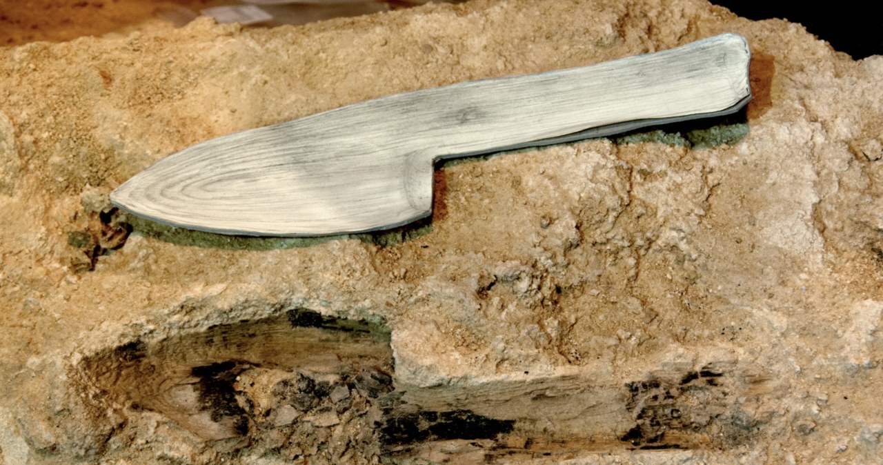 Włócznie i narzędzia z drewna. Nowe odkrycia archeologiczne w Abric Romaní