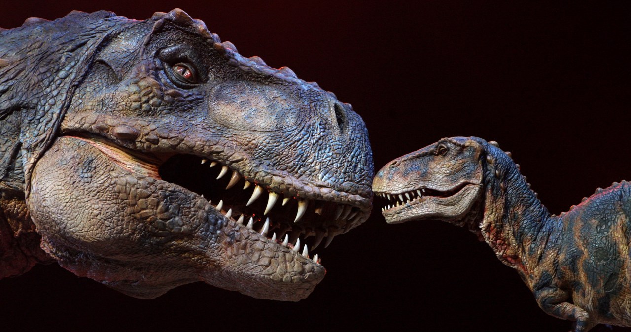 Tyranozaur pożarty przez raptory. Naukowcy nie mogli uwierzyc Tyranozaur pożarty przez raptory. Naukowcy nie mogli uwierzyc