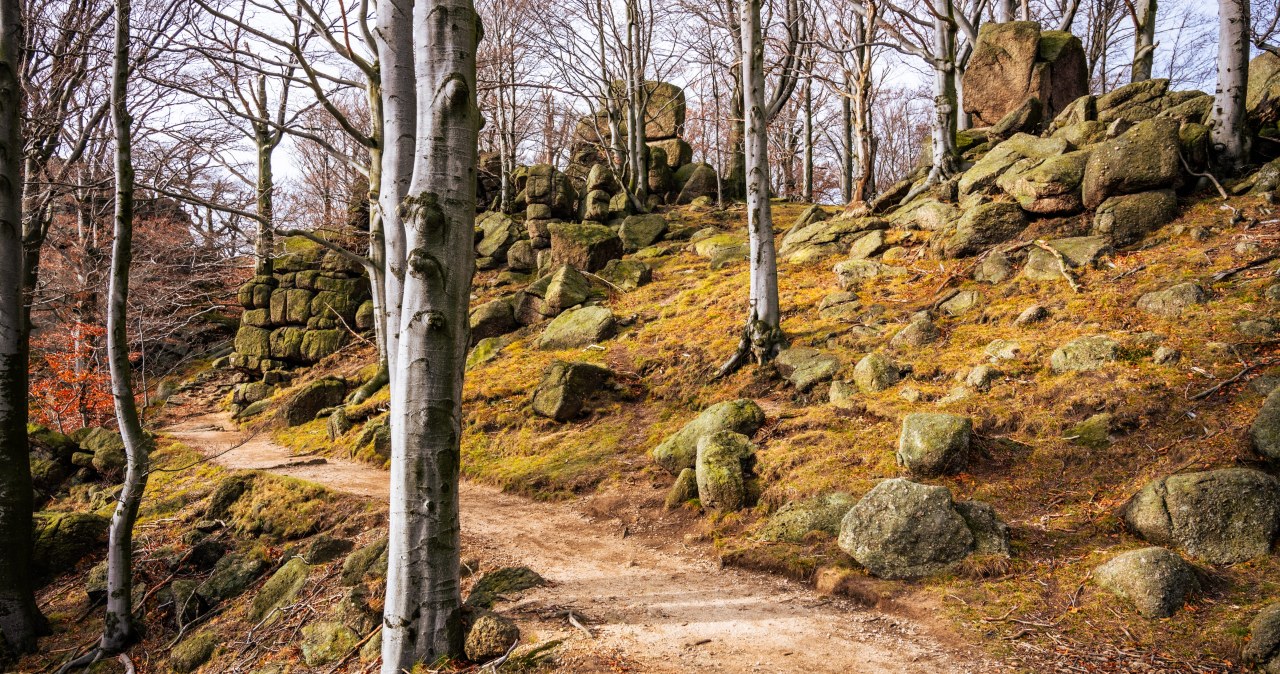 Zamiast w Tatry, jesienią jadę tu. Malowniczy, prawie pusty szlak dla wszystkich