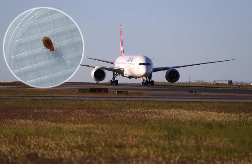 Lot Dreamlinera do Włoch zamienił się w koszmar. Pasażerowie pogryzieni