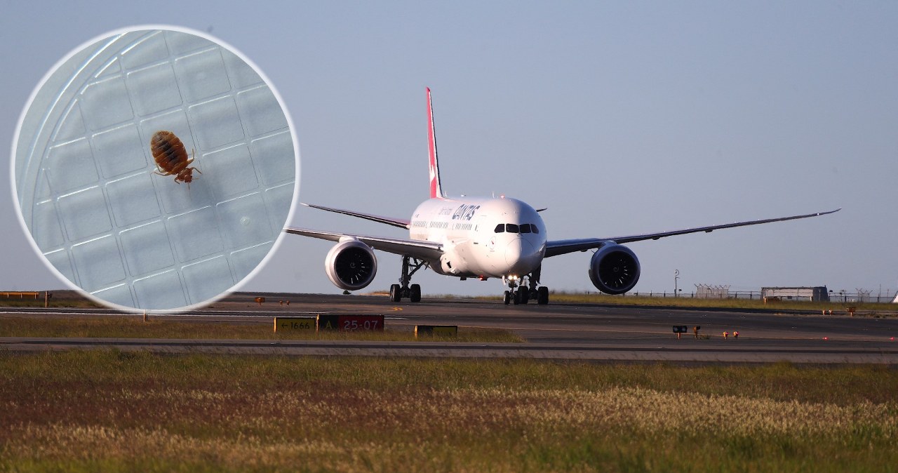 Lot Dreamlinera do Włoch zamienił się w koszmar. Pasażerowie pogryzieni