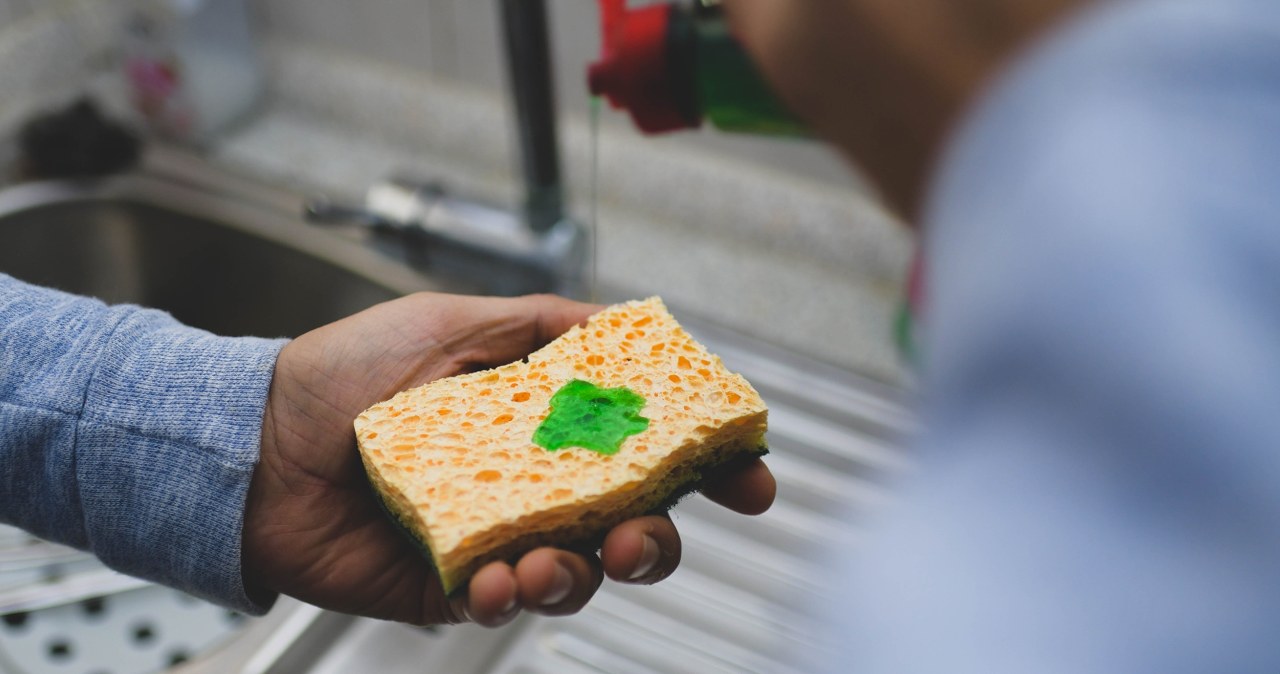 Myślisz, iż zmywarka da radę? Bakterie będą się mnożyć na potęgę