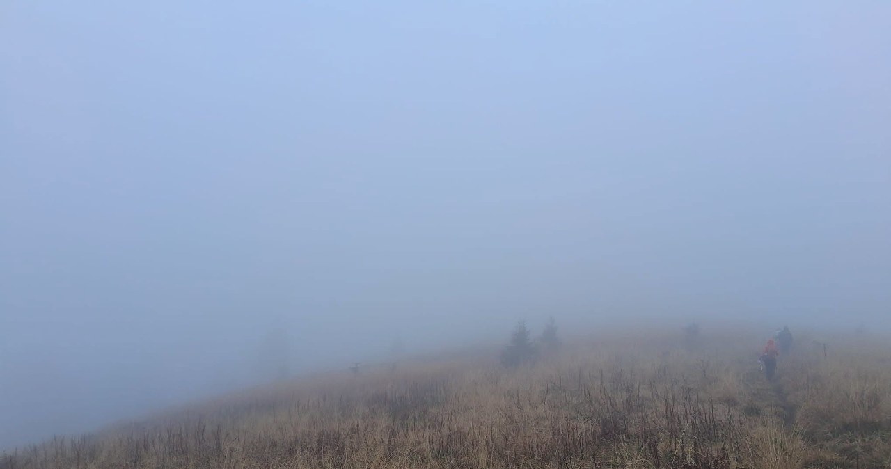 Bieszczady. Matka porzuciła płaczące dzieci na szlaku. Poszła zdobyć szczyt Bieszczady. Matka porzuciła płaczące dzieci na szlaku. Poszła zdobyć szczyt