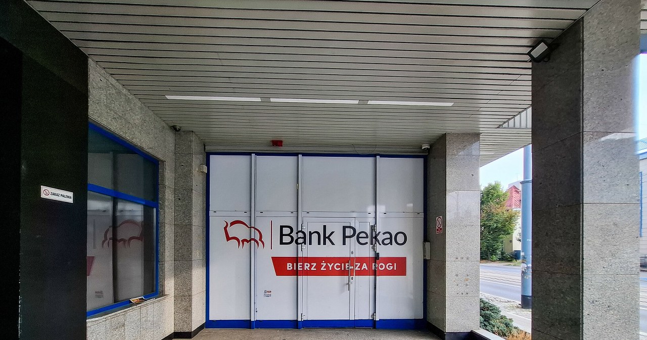 Słynny żubr znika z logo? Bank Pekao szykuje wielki rebranding i nową nazwę