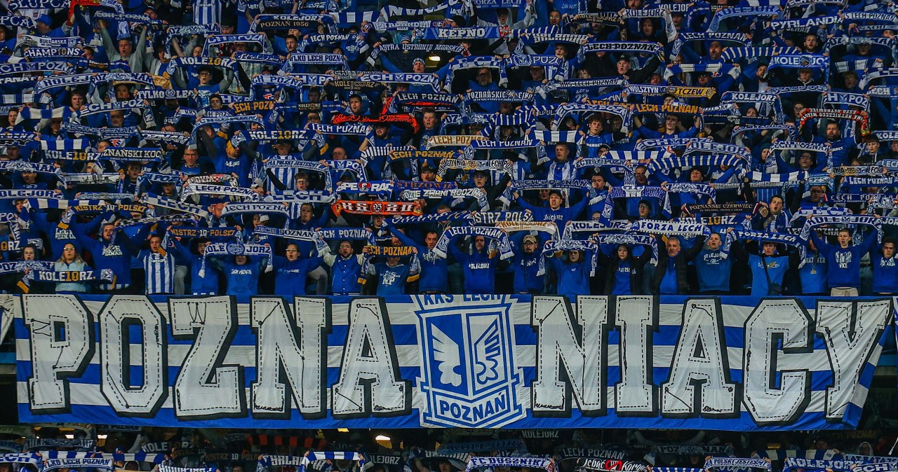 Anglicy ledwo przyjechali do Polski. Tak widzą Poznań, poszło w świat