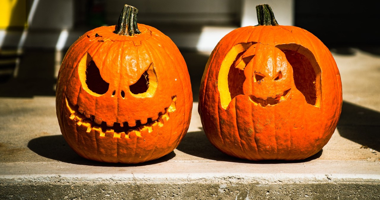 Dynia dyni nierówna. Tych odmian nie wybieraj na Halloween Dynia dyni nierówna. Tych odmian nie wybieraj na Halloween