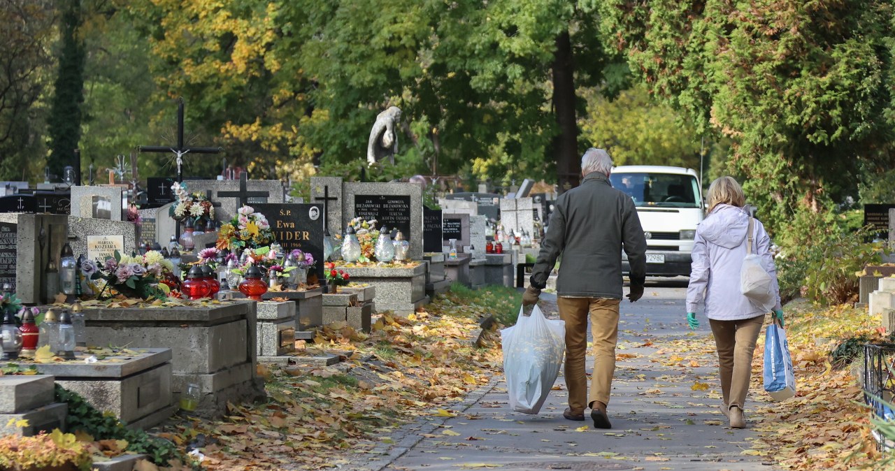 Nielegalne gałęzie trafiają na cmentarze. realizowane są kontrole