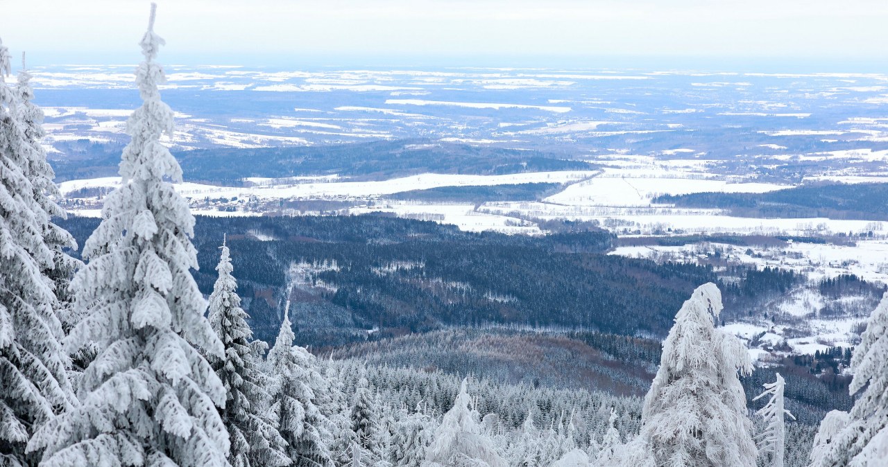 Gdzie na zimowe wycieczki? W tych miejscach śnieg jest gwarantowany