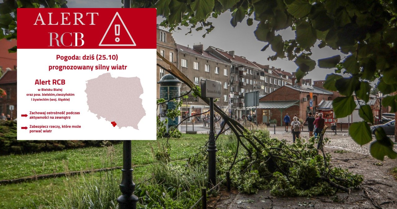 Silny wiatr nadciąga nad Polskę. RCB ostrzega mieszkańców