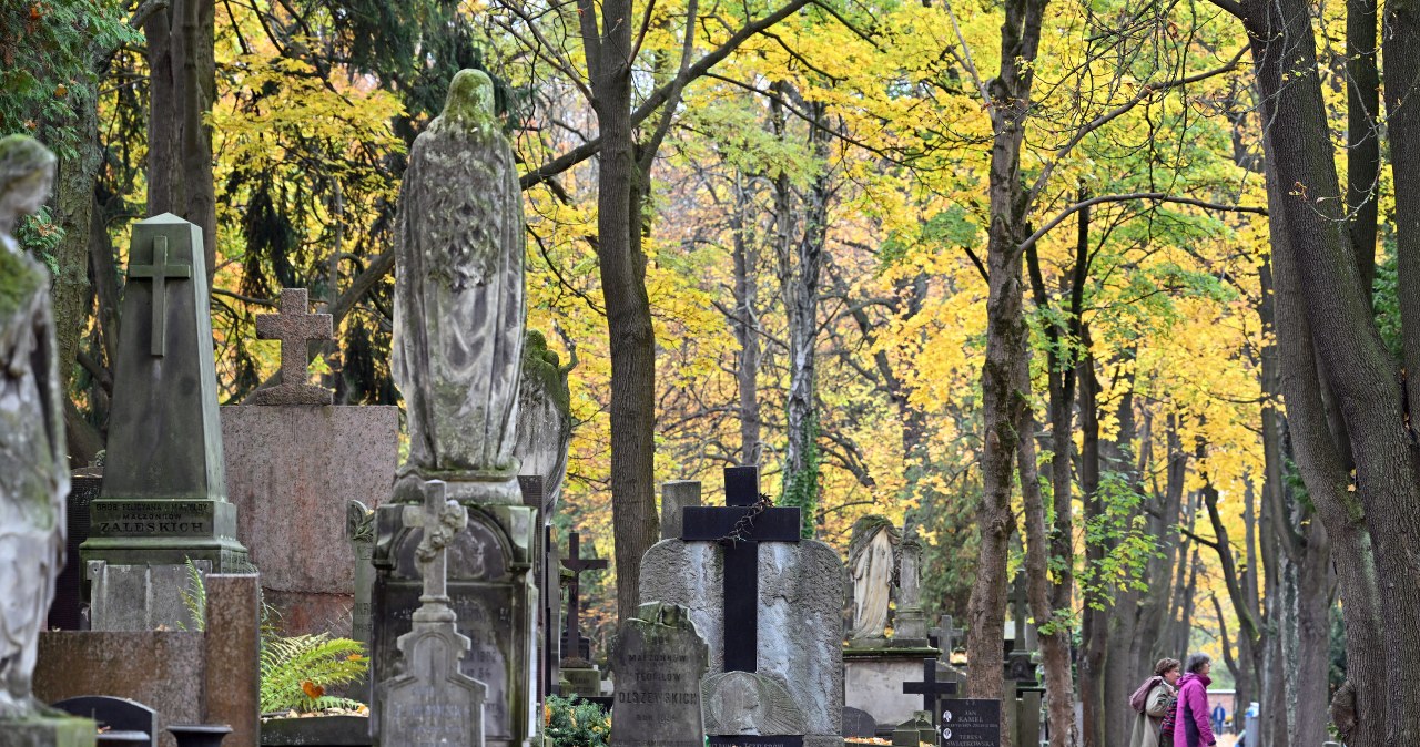 Nie tylko krzyż, Jezus i rośliny. Nietypowe symbole na polskich grobach